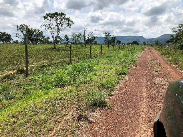 Fazenda 1.163 hectares em Livramento MT - Foto 15