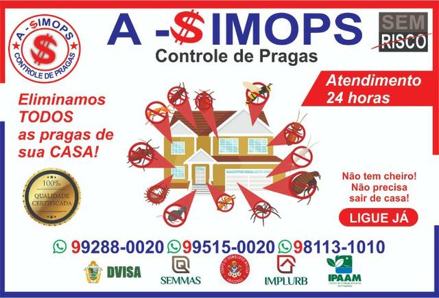 Orçamentos sem compromisso detetização - Foto 2