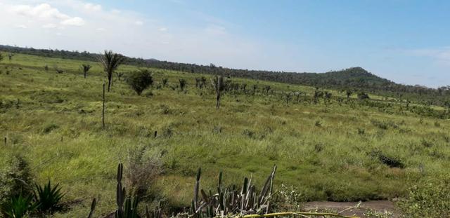 Vende-se fazenda - Foto 3