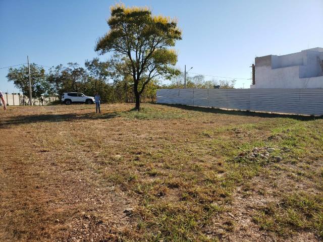 Terreno Florais Itália Cuiabá, 558,00 m², Esquina e em Frente Área Verde - Foto 18