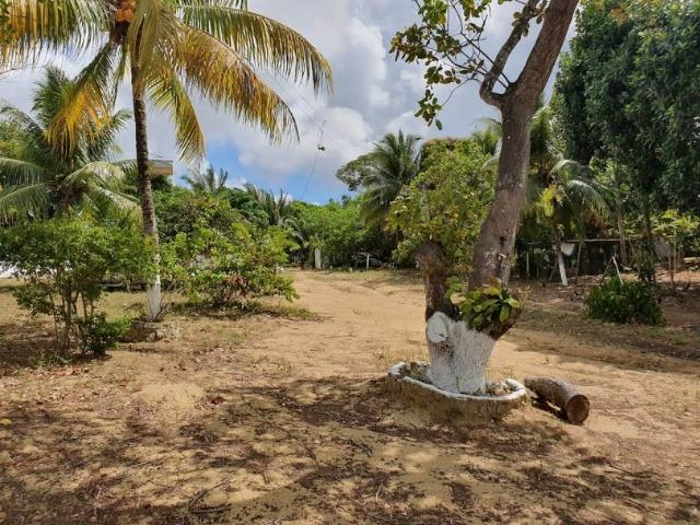 Chacará a venda em Tabajara - Foto 18