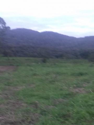 Loteamento/condomínio à venda em Rio do meio, Itajai cod:AR00003 - Foto 5