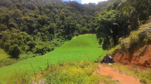 Lindo terreno de 2,8 hectares em Delfim Moreira Sul de Minas Gerais - Foto 2