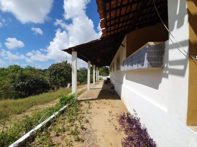 Chacará a venda em Tabajara - Foto 8