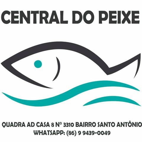 Central do Peixe - Foto 3