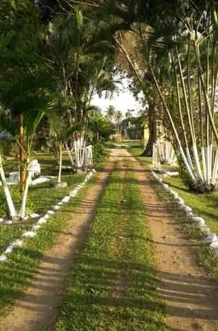 Lazer no Sitio Campestre - Foto 5