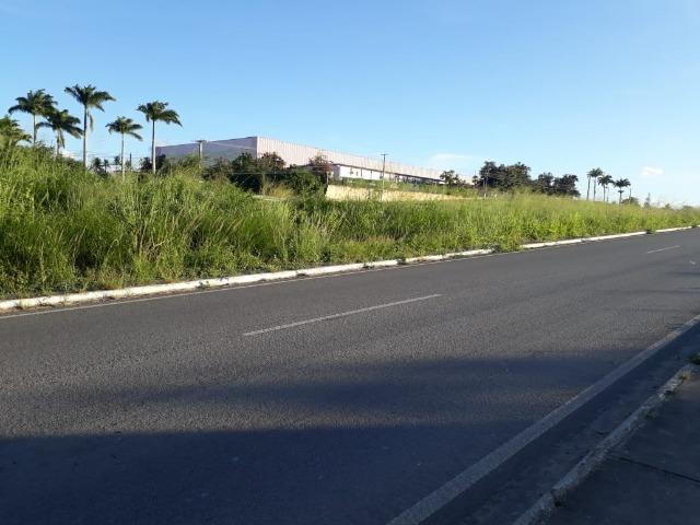 Ótima área com 4.4 hectares, em Caruaru-PE. Vende-se completa ou em partes.Aceita trocas! - Foto 19