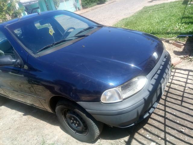 Vendo palio