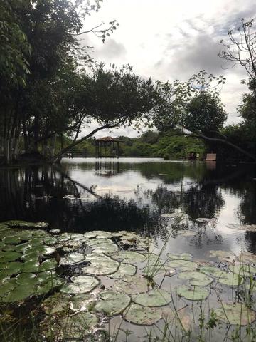 Alugo sítio/chácara para passar um dia diferente com seus amigos e familiares - Foto 6