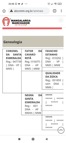 Potro registrado