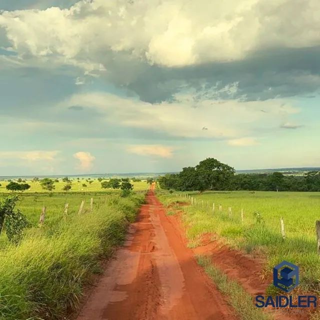 Faz em Nova Andradina-MS, 5.793 hectares. - Foto 3