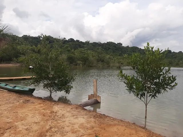 Fazenda 1, lote Plaino, desmatado , proximo da guarita