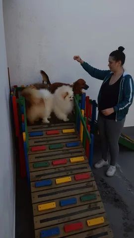 Brinquedo para cachorro pet  - Foto 2