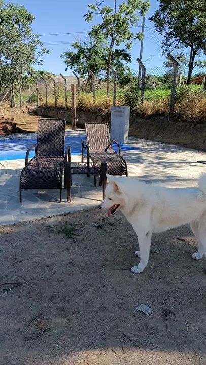 Espreguiçadeira com Regulagem de encosto  - Foto 2