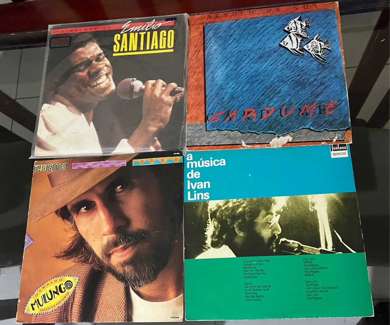Discos de Vinil (LPs) de cantores variados