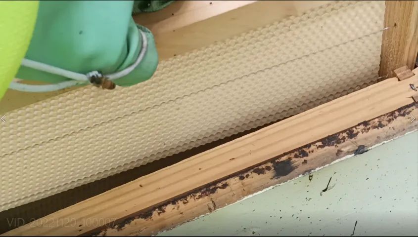 Cera Alveolada para cólméias APIS - Foto 3