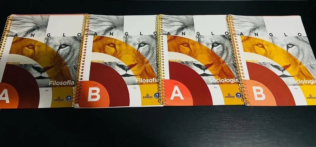 LIVROS SISTEMA ANGLO 1 ANO ENSINO MÉDIO - Foto 3