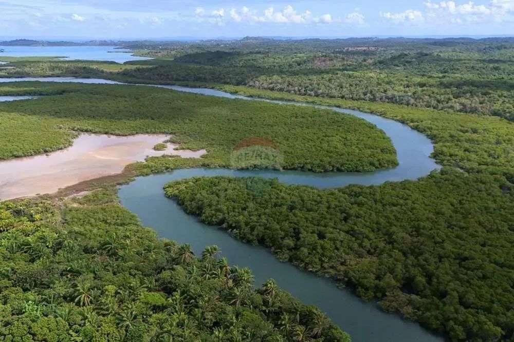 ILHA NA CONTRACOSTA DA ILHA DE ITAPARICA - Foto 5