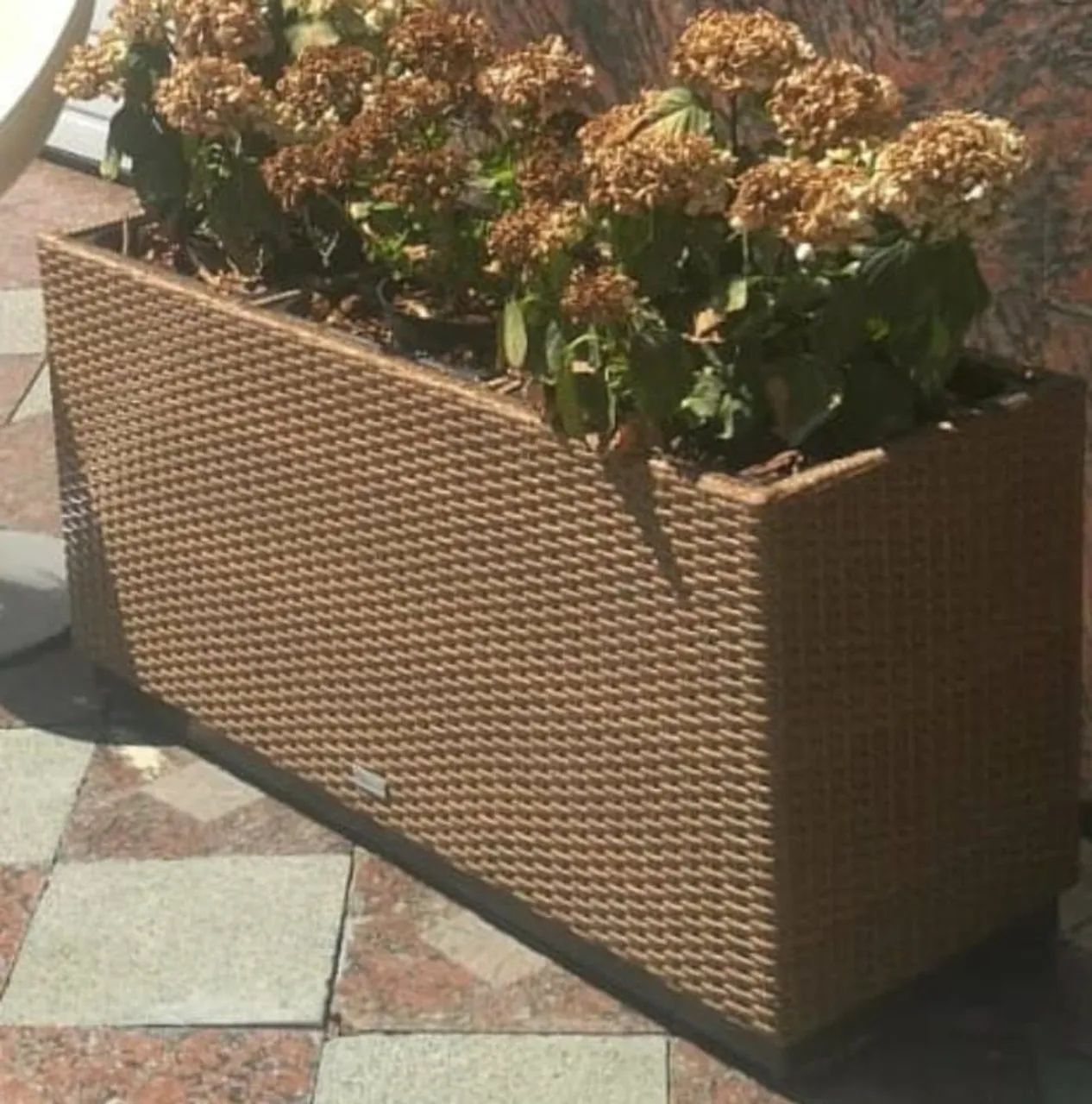 Vazos de plantas e cestode roupa a partir de 280