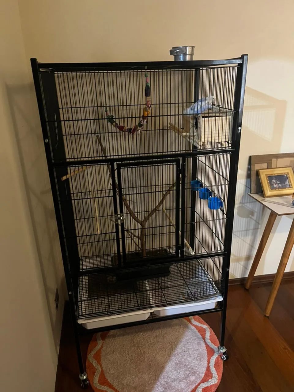 viveiro grande para pássaros 