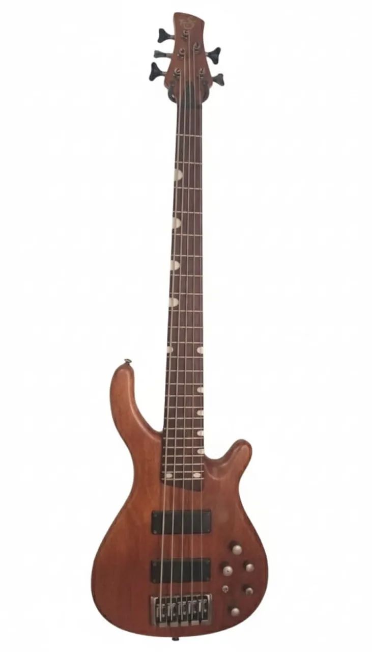 Baixo de 5 cordas Tagima TW5 - Instrumentos musicais - Jardim São