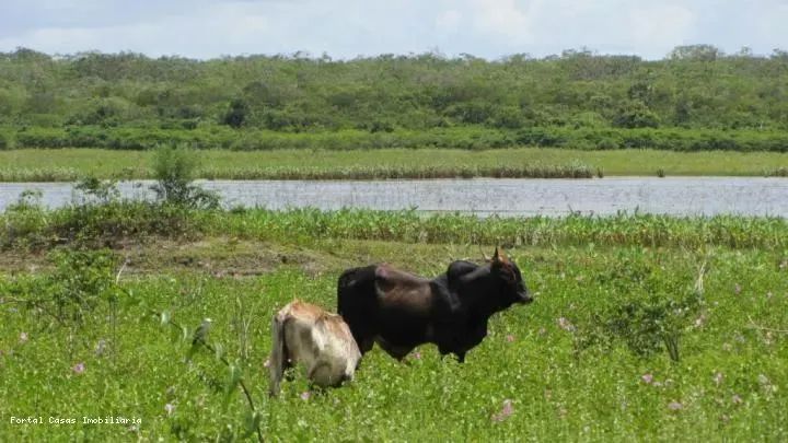 Fazenda para Venda em Trairi, Zona Rural - Foto 4