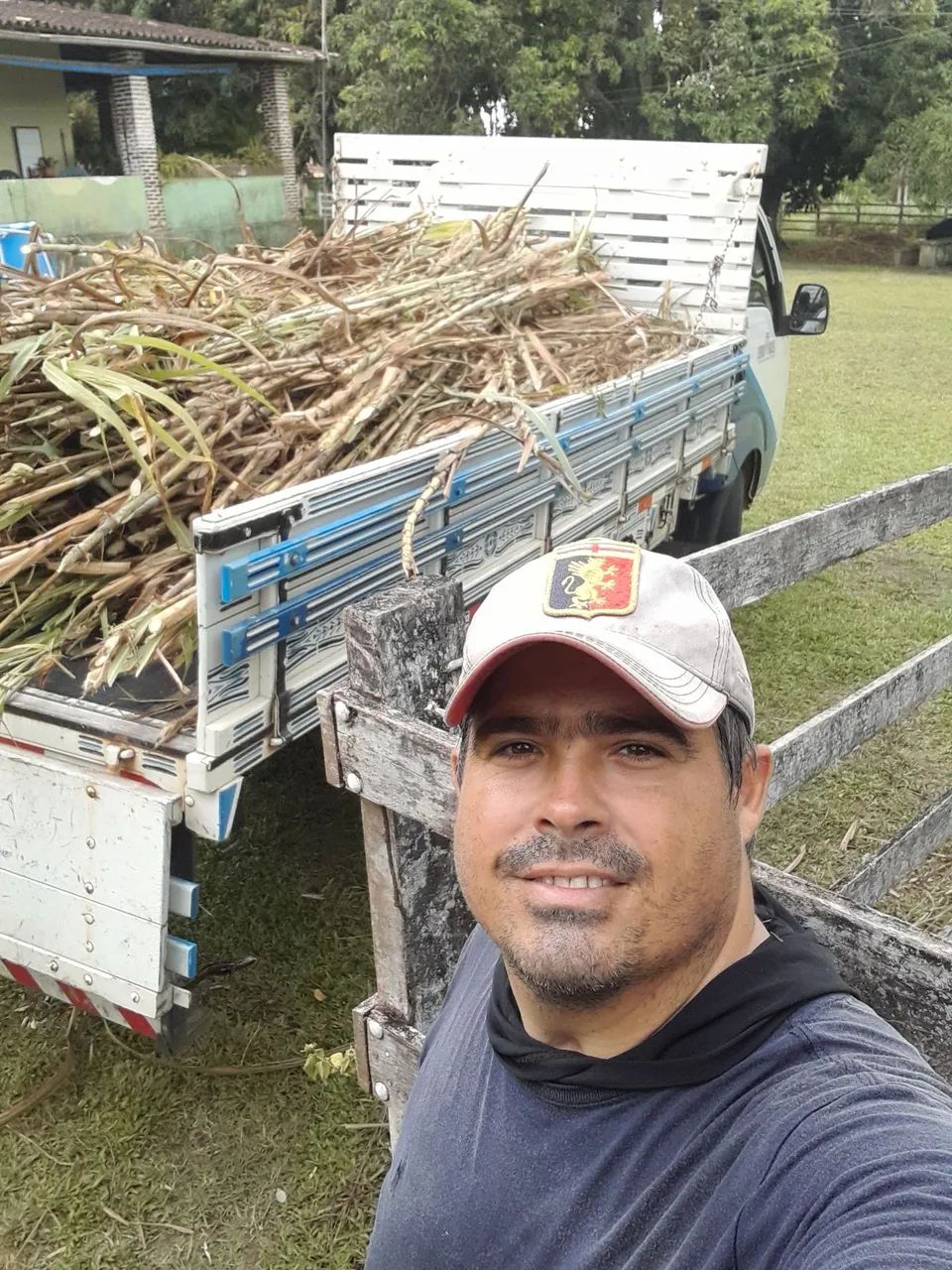APROVEITE AS CHUVAS E FORME SUA CAPINEIRA DO BRS KURUMI E CAPIAÇU E SORRIA NO VERAO - Foto 2