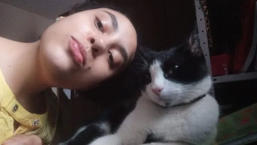Pet sitter em Goiânia e região