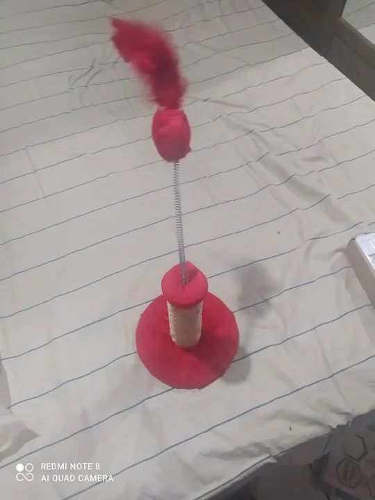 Brinquedos para Gato