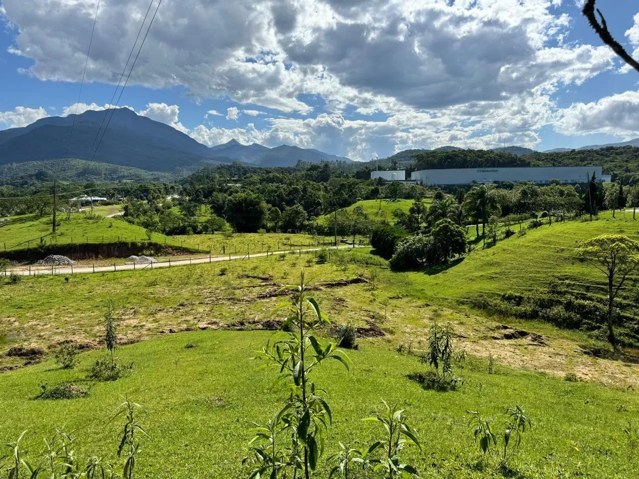 Terreno ao lado da BR 282 - Santo Amaro da Imperatriz - SC - Foto 2