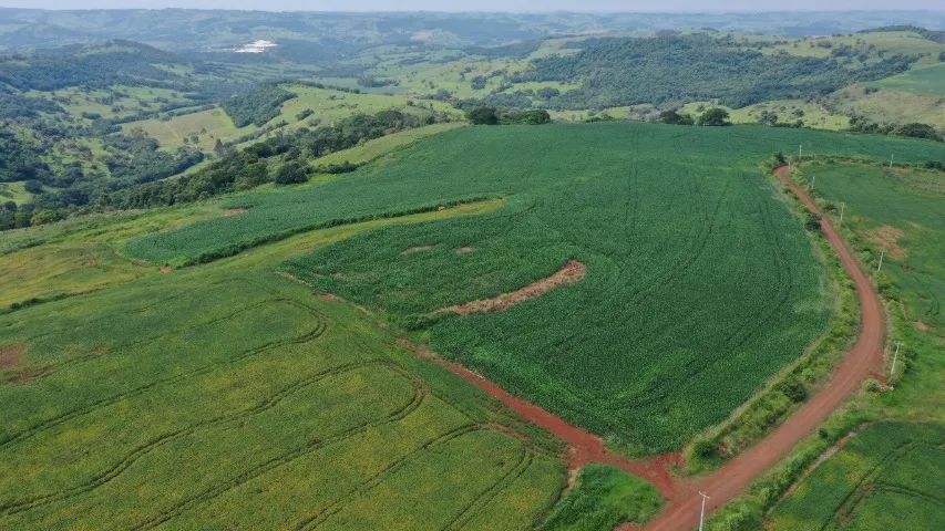 Fazenda lavoura/pecuária - Foto 2