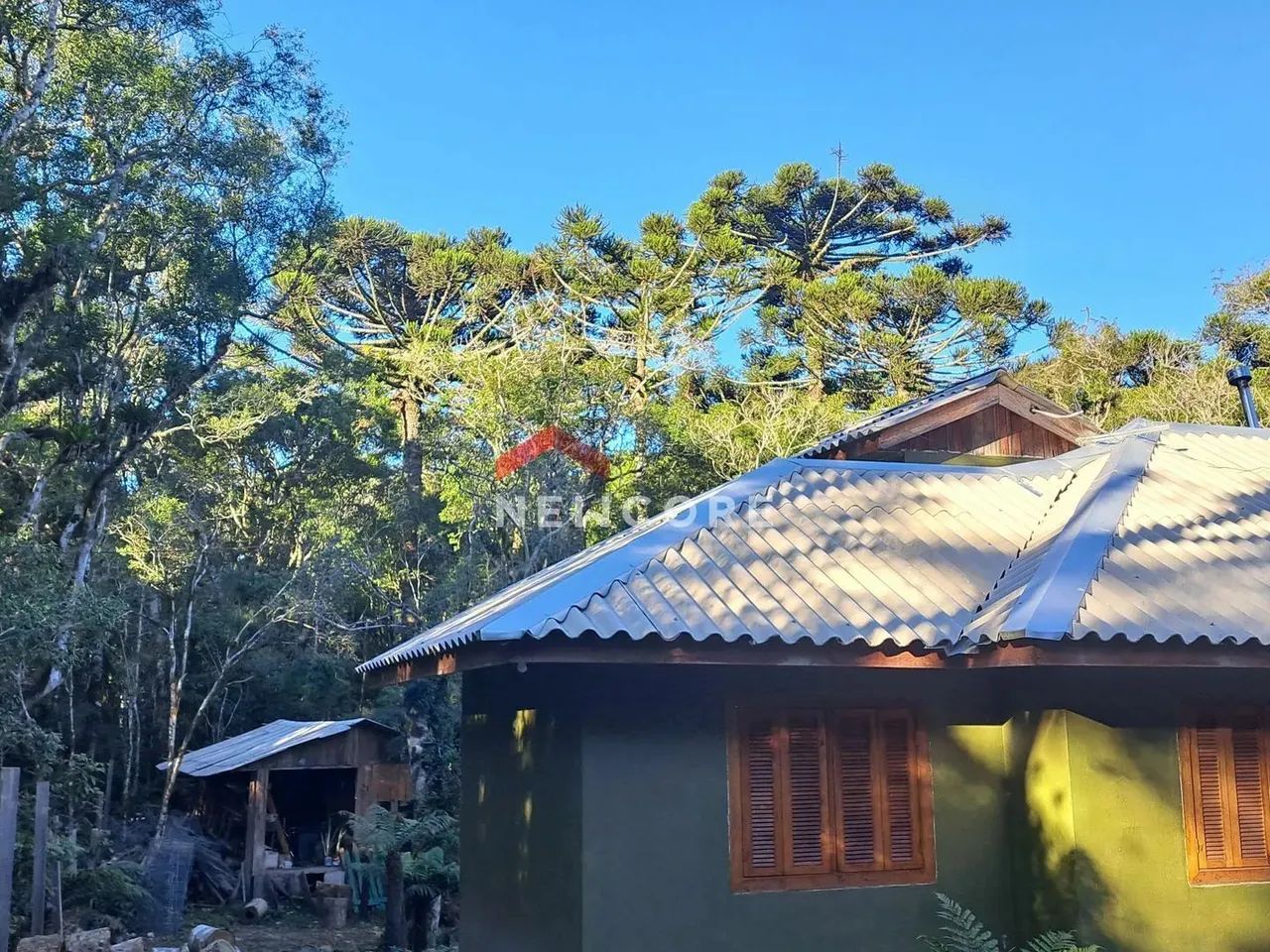 Casa em rua quatis - Colinas - São Francisco de Paula/RS - Foto 3