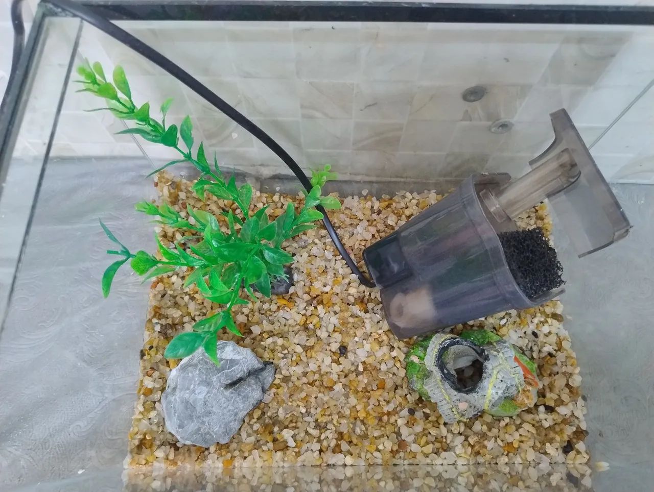 Aquário de vidro completo 25L - Foto 2