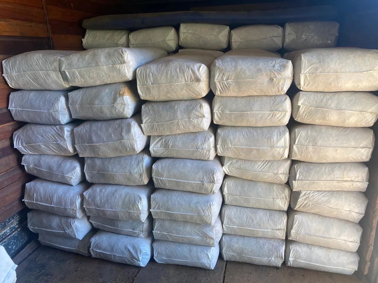 Silagem de milho Tipo A - Foto 2