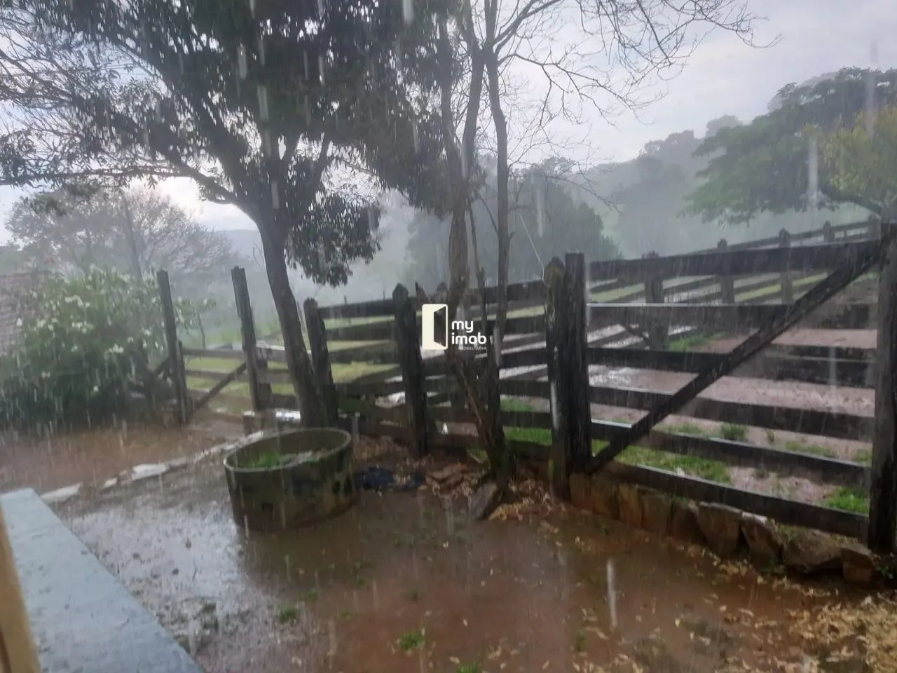 Fazenda 40 Alqueires em Cocalzinho-GO - Foto 2