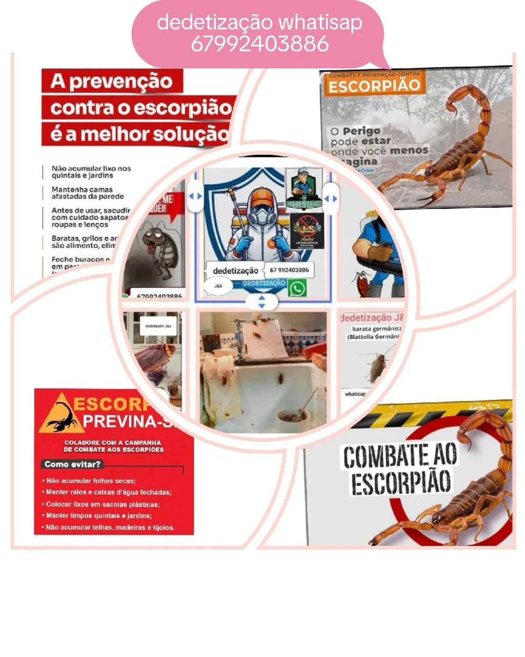 dedetização em residência e apt  - Foto 2