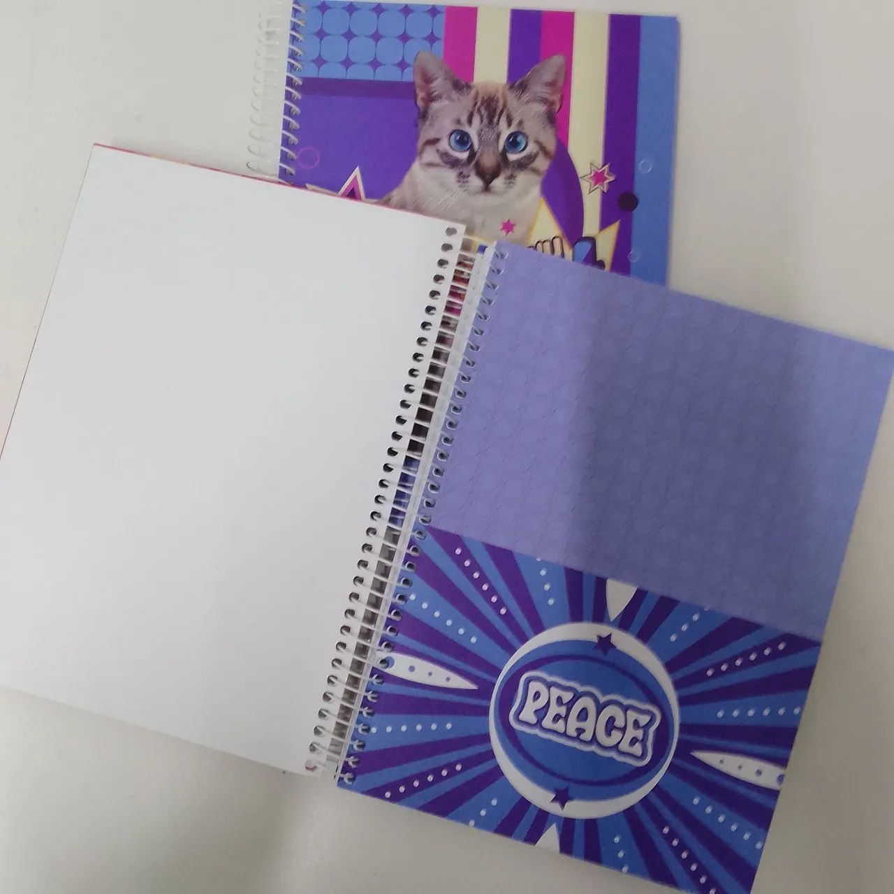 Kit 5 Caderno de 10 matérias  - Foto 4