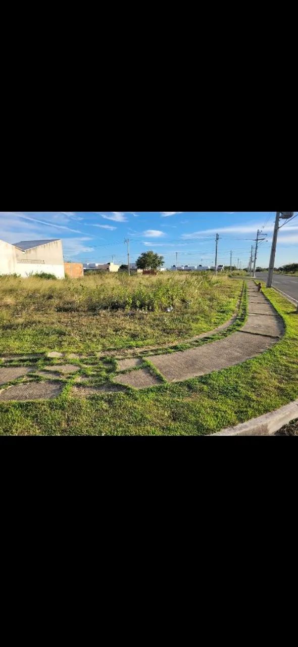 Foto - Campos dos Goytacazes - Goitacazes