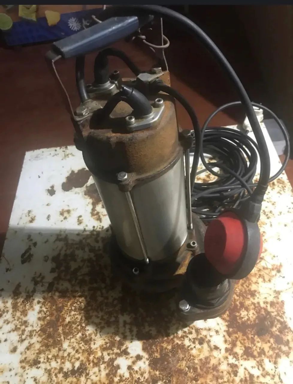 Bomba sapo 
