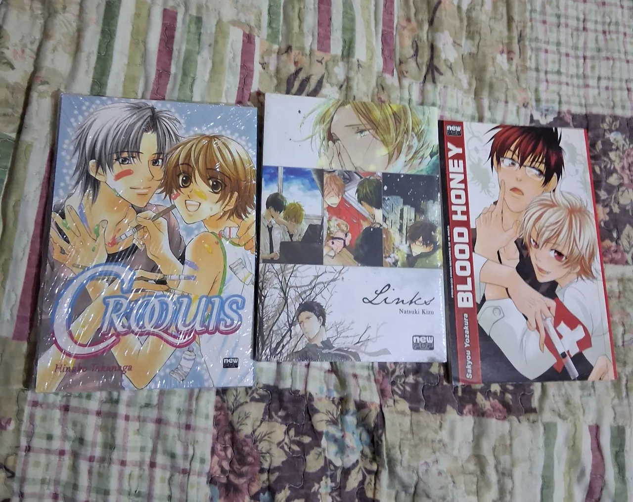 Coleção de mangas BLs (Boys Love) Newpop - Livros e revistas