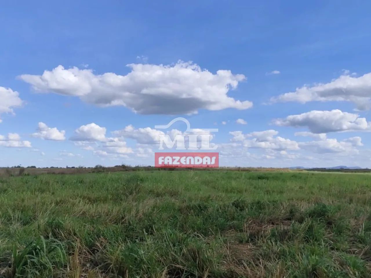Fazenda 460 Alqueires (2.226 hectares) Xinguara - PA - Foto 3