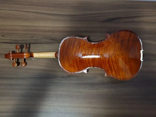 Violino Eagle VE441 4/4 - Foto 2
