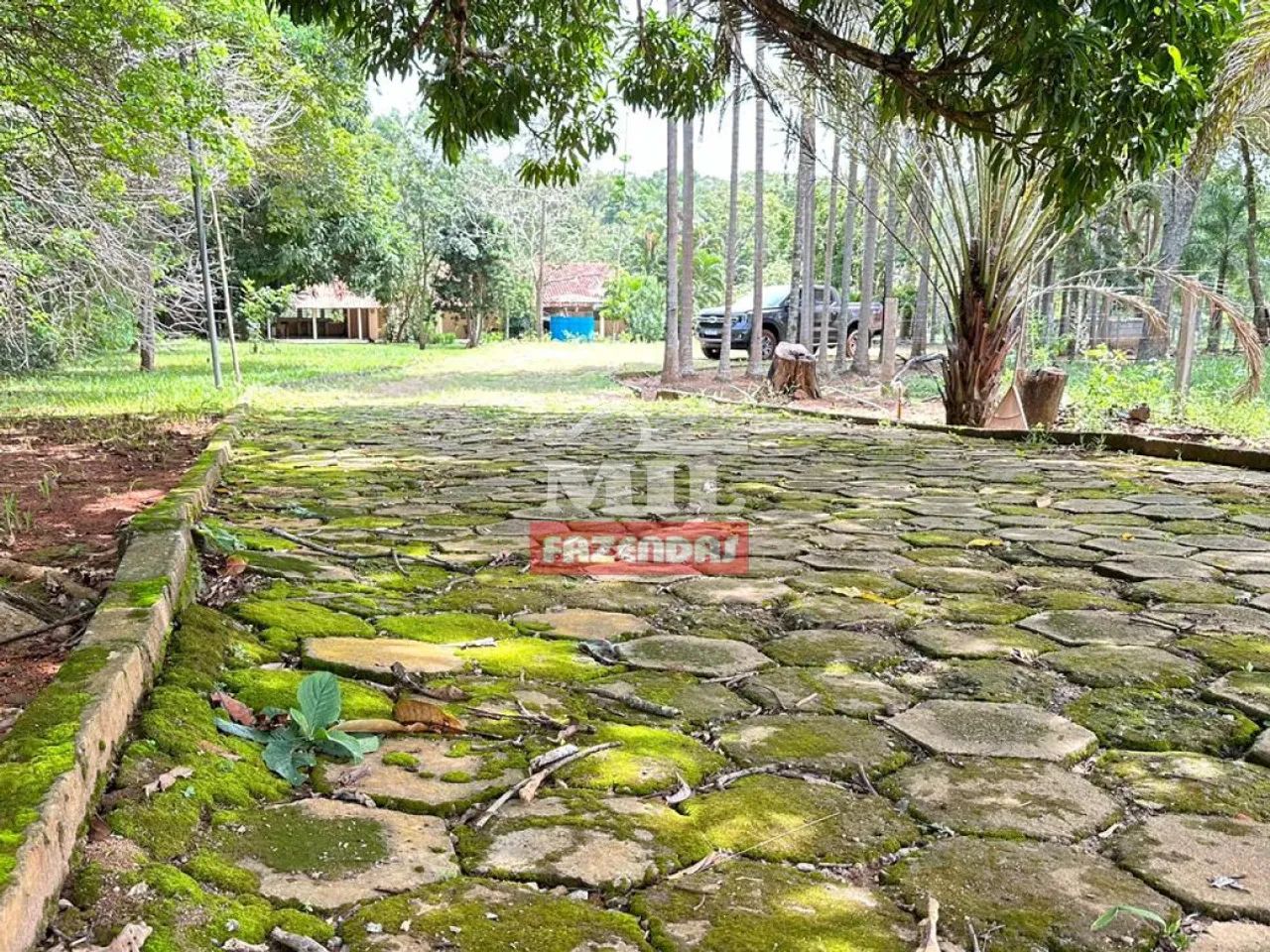 Chácara 30.000m² Aragoiânia - GO - Foto 5