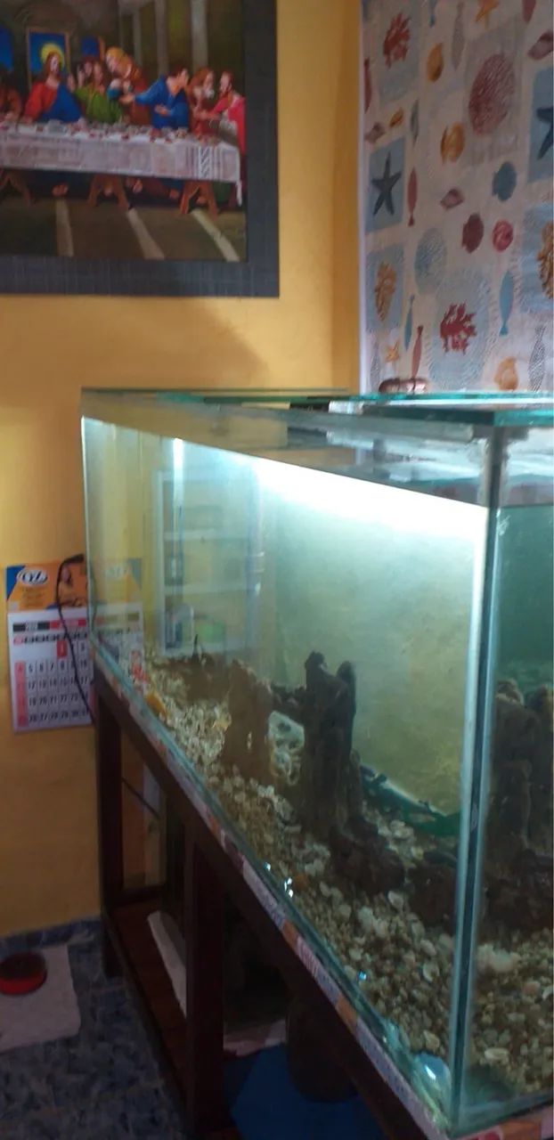 MEGA AQUÁRIO 400 LITROS BEM CONSERVADO - Foto 2