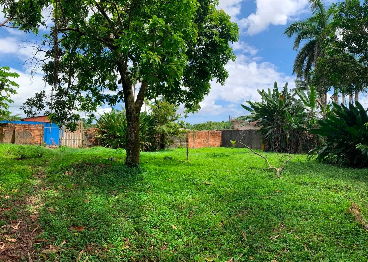 Vende-se terreno em mosqueiro  - Foto 4