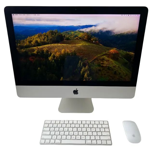 Apple iMac 21,5 i5-3.4ghz 1TB SSD 16 Gb Ram, Magic mouse - Com