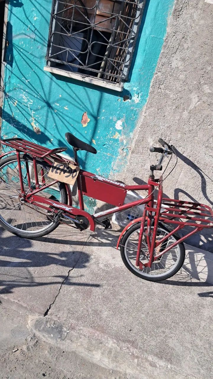Bicicleta cargueira - Foto 2