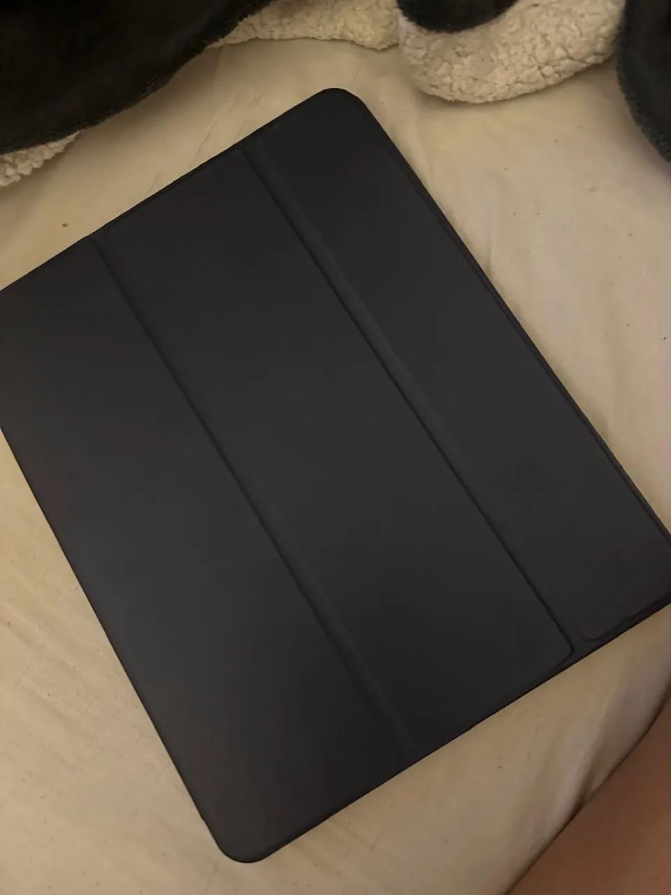 iPad 13471002122897991685