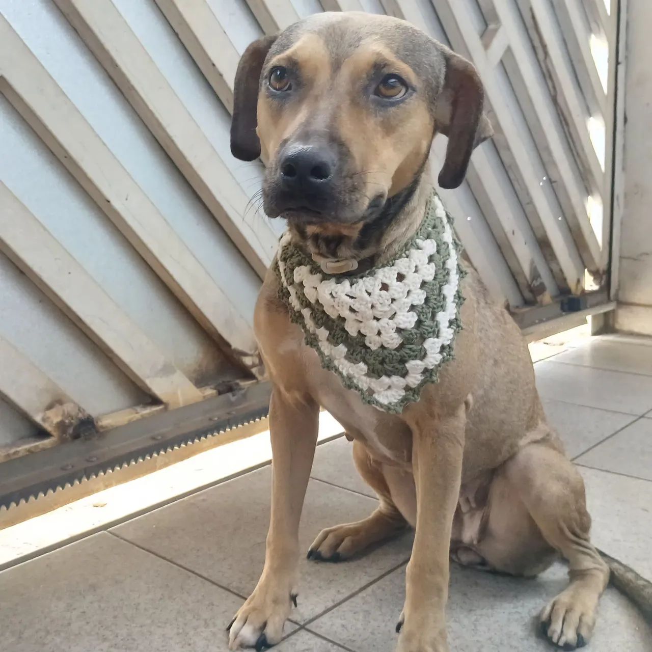 Bandanas PET de Crochê  - Foto 4