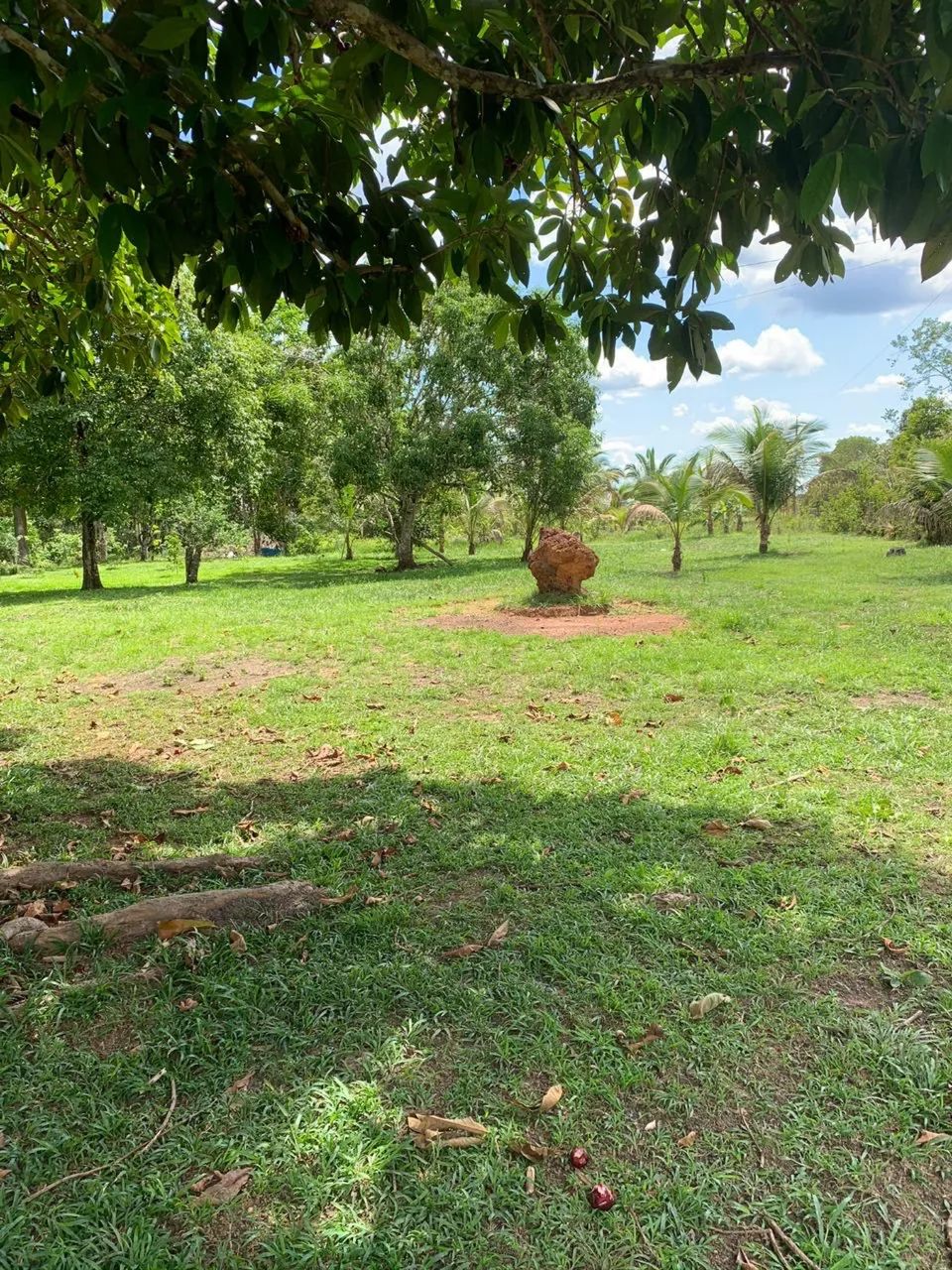 SÍTIO A VENDA BARATO  - Foto 5